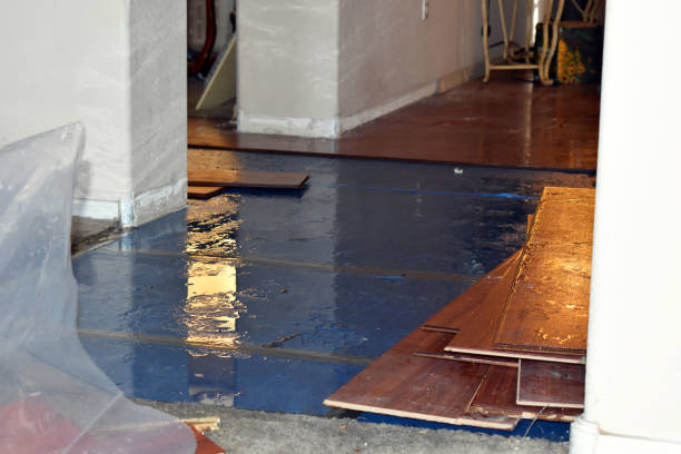 Professional Water Extraction technician working in Girard, IL